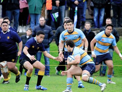 マウントアルバート高校